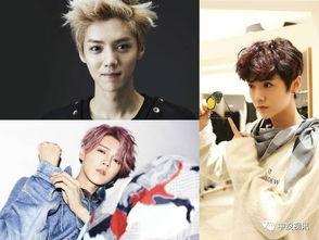 吃瓜娱乐圈鹿晗图片高清,娱乐圈瓜田里的清新风景